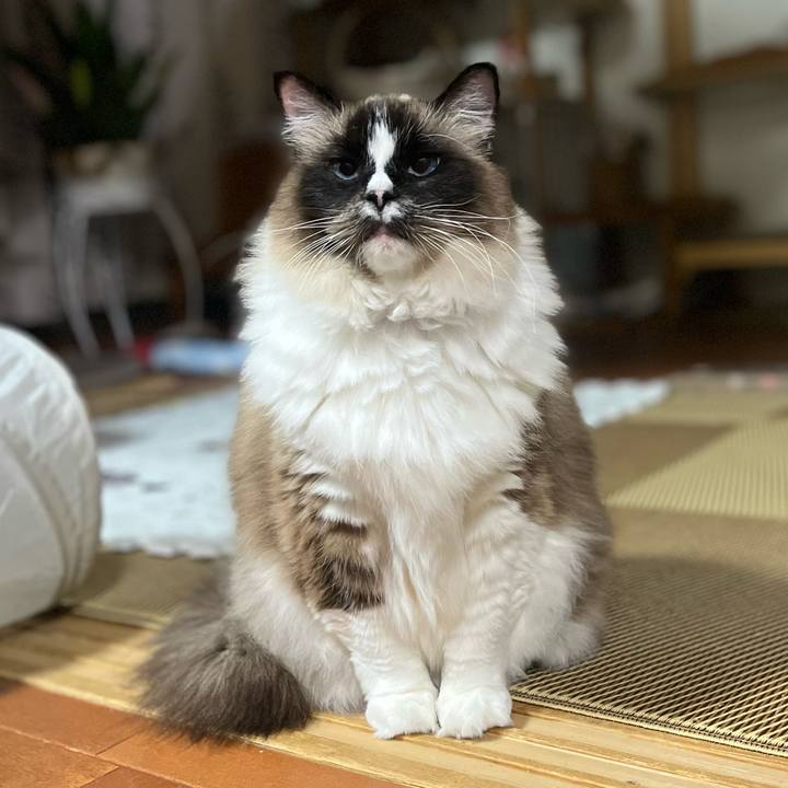 36ac1424 a40b 4fd4 8809 be5c639db6ae 1710764165138