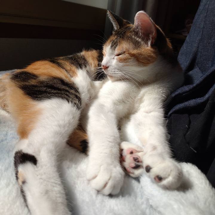 36ac1f21 e288 4cd1 aee2 8e979019918f 1679279960984