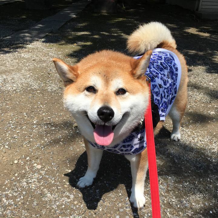 36ac4366 bf36 4cef a357 79997846bf38 1592629919809