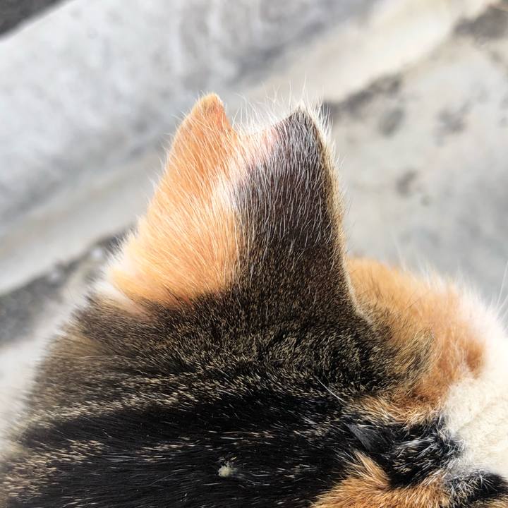 36ac68cc 6783 46f4 be2a cf9e45a26fcc 1647722849961