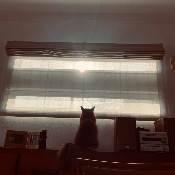 36acd7e8 4f1f 43ff b4c2 11adebed9b13 1681112167370