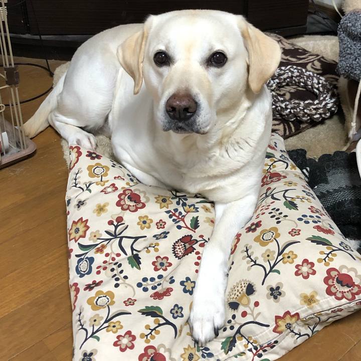 36acf4b2 41f1 4289 b4e7 1a46e46624d1 1649038835888