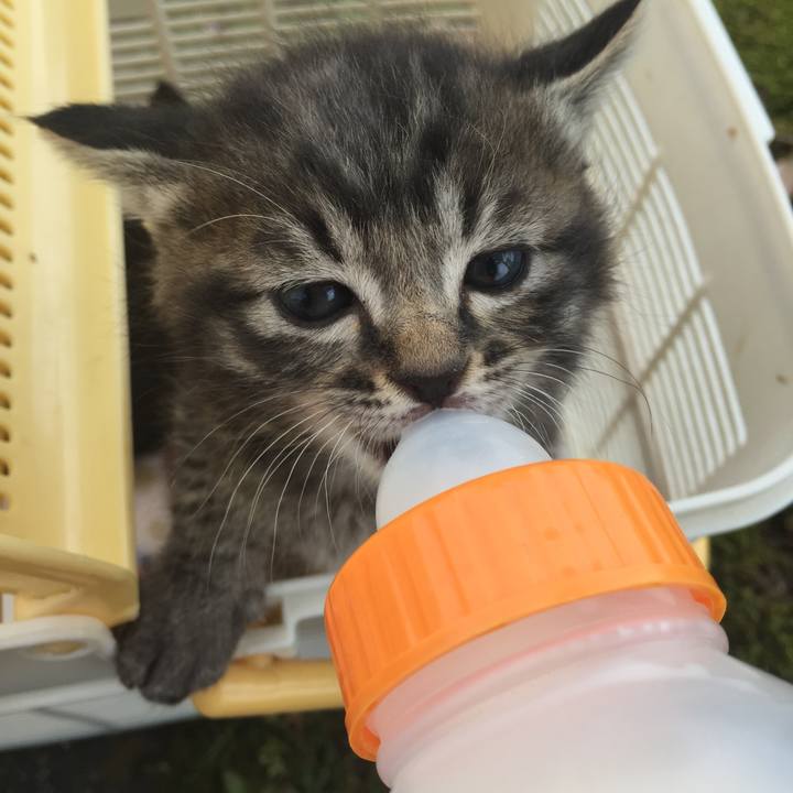 36acfd06 c70a 48ce 98bb abdde638b34a 1523261187127