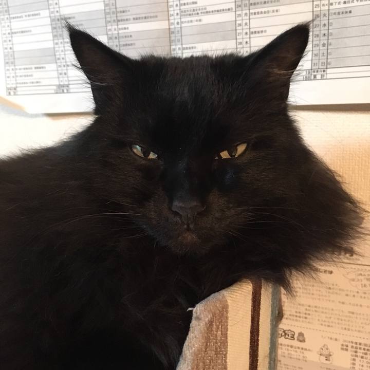 36ad0bc6 a6a2 4a5f 8a11 a0ad68eda358 1549085388710