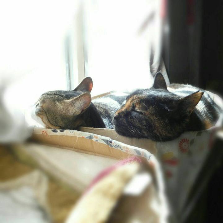 36ad343a 9d48 4a15 a994 2a386598054f 1526016241196