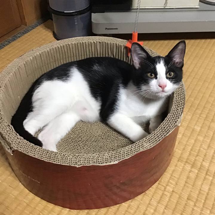 36ad7e16 19e7 41c4 91bf 83fe12fd0f8d 1628060147940