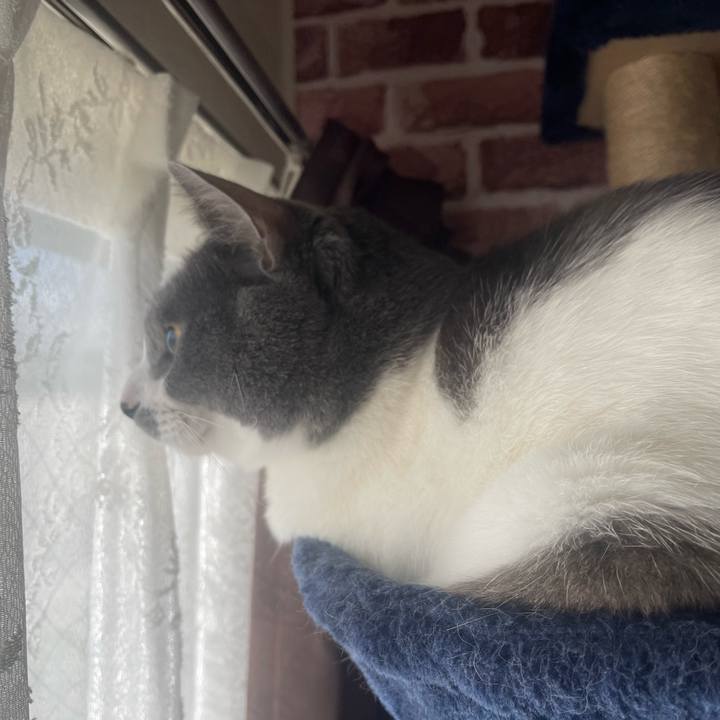 36ad9415 cb4f 4d9c a115 e453576d51cf 1670202341409