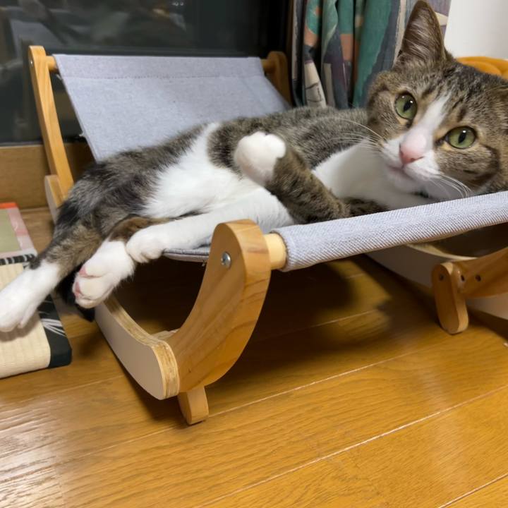 36ae03b1 cb9d 4199 8520 5434f5d9cef2 1748612869902