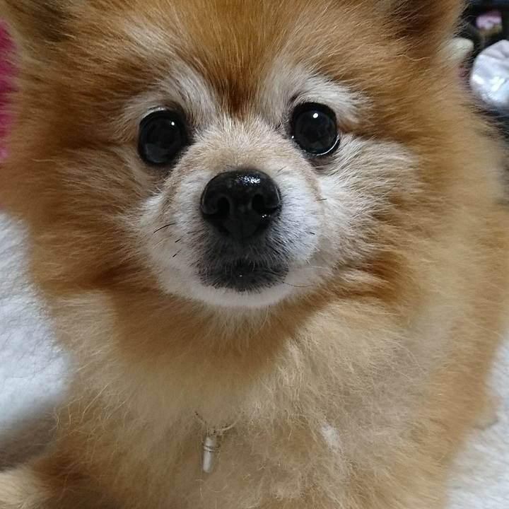 36ae0bd0 054b 4a4e 9268 959fc826ba29 1509545823726