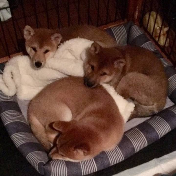 36ae1364 d921 4a53 b83a f32e7152e3db 1536501811222