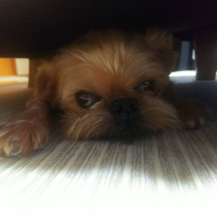 36ae17c2 fa2f 43fa a882 f23e1ab0da22 1597199999220