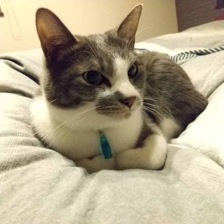 36ae2c74 b618 4af8 b643 a44248228a80 1642602145780