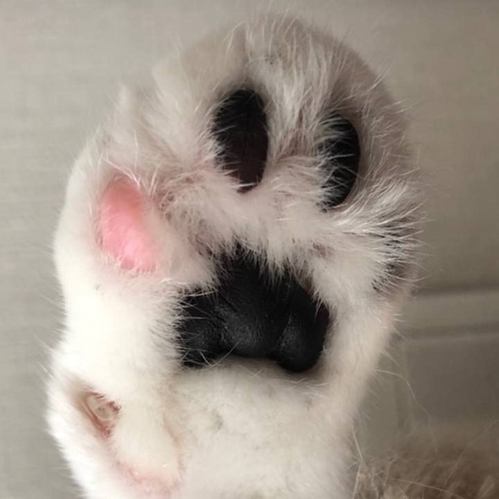 36ae75bf c930 4609 af38 b01f5951034f 1559375220314