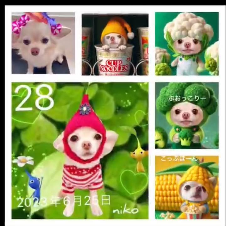 36af0511 b333 4f8b b530 4d802c779333 1720005670914