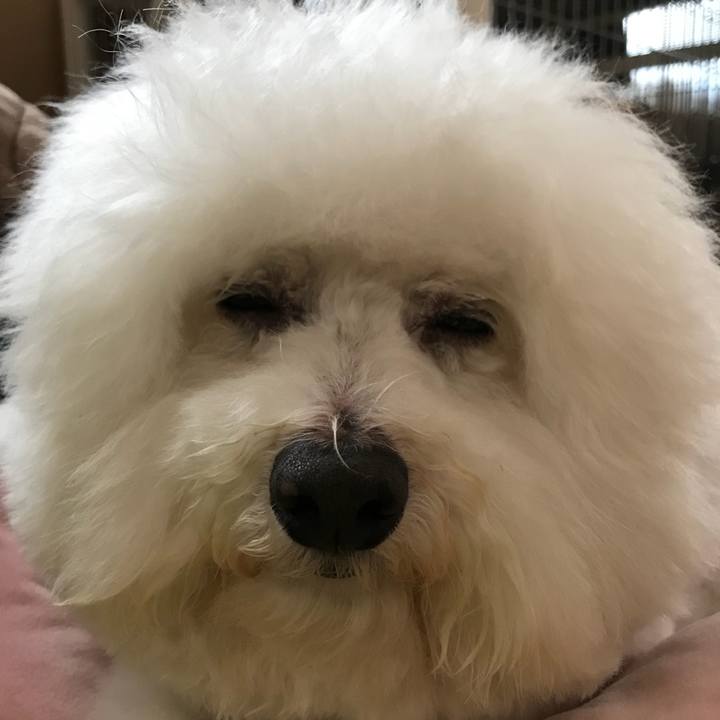 36af1b6c 6fef 4f3e a511 7c1d7fee3a70 1554448055486