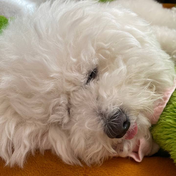 36af1c89 3574 47d6 bcb9 843649fcbb0d 1613107879517