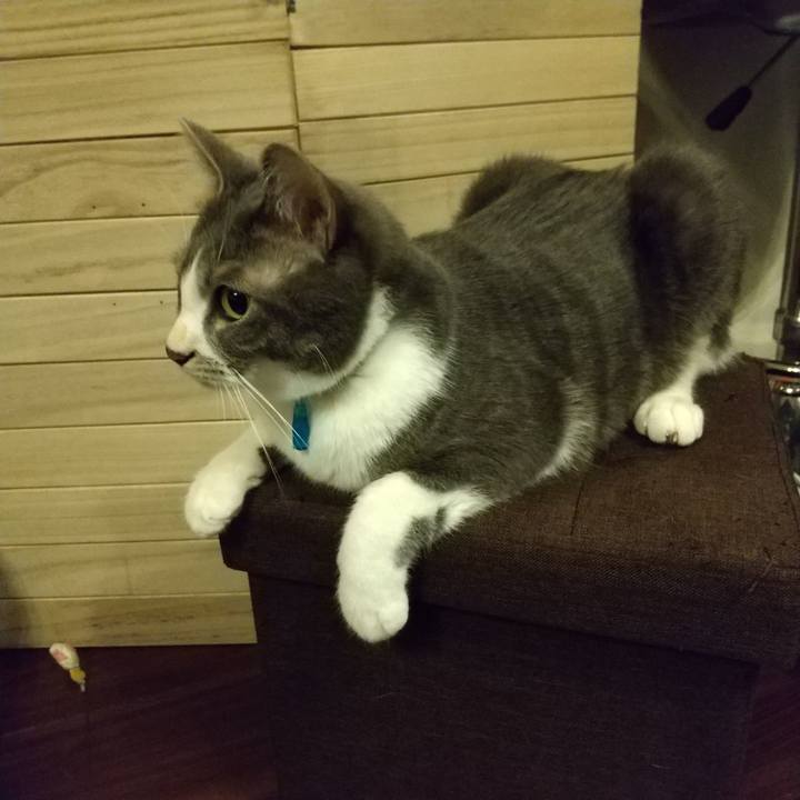 36af3702 751f 4126 a407 e54d1d17dece 1612274306038