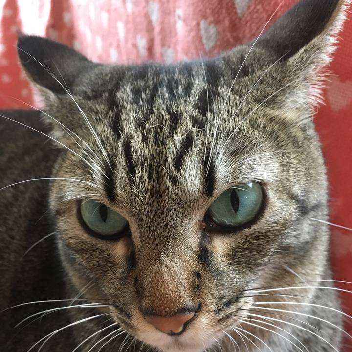 36af8bbf c086 45ae 8daa 4cc296b36c40 1508456687632