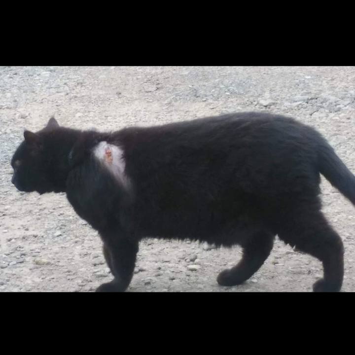 36af9d2c 927a 4aea 88d5 d81380664b93 1655174212547