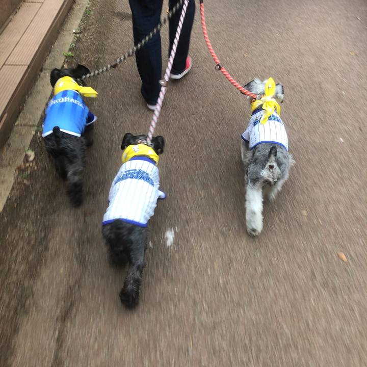 36afa94c 1a5f 4c7a a4a7 ecca91cbec60 1570327372520