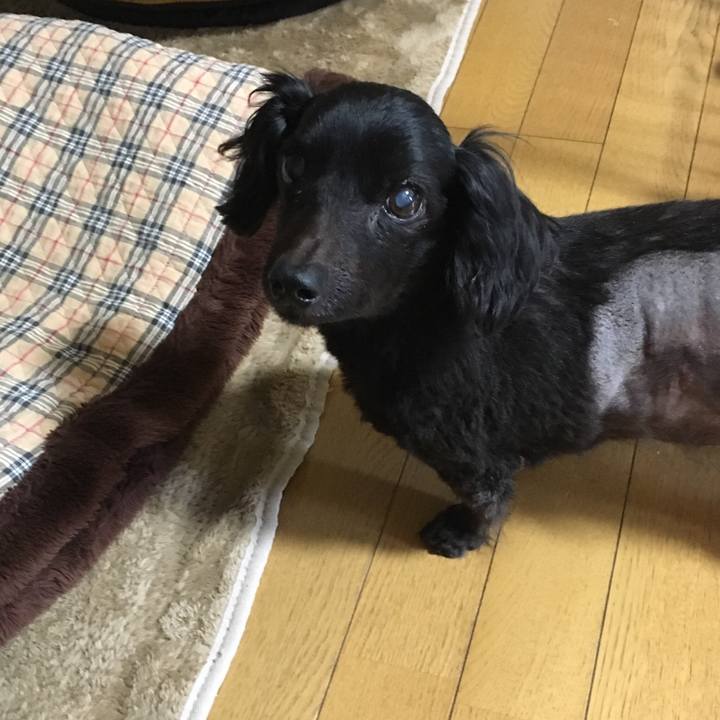 36afbfba 30b4 4618 a5b2 8114e50705da 1549840090371