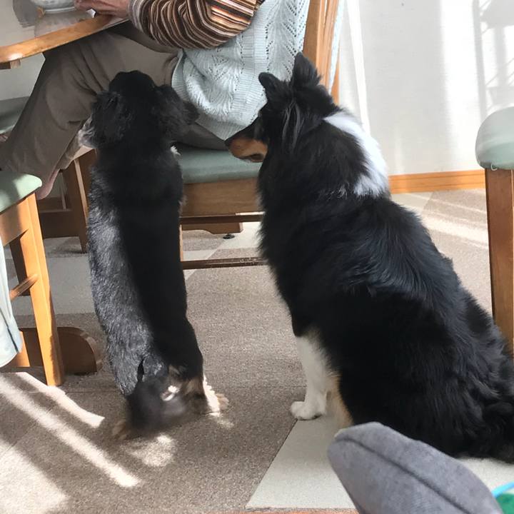 36afd7f1 664d 43b9 b77a 322348856197 1529358723364