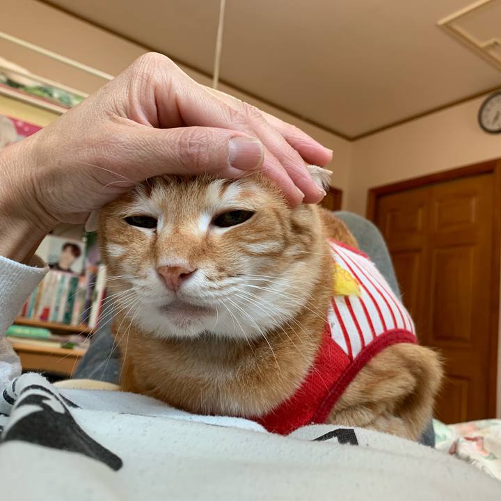 36b0050a 96ce 407a 8d31 0a65dff30136 1587764262906