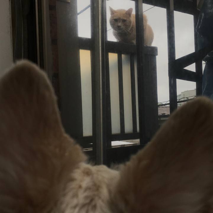 36b00a31 fbe0 4c37 b80e ee614121b0fc 1563145093982