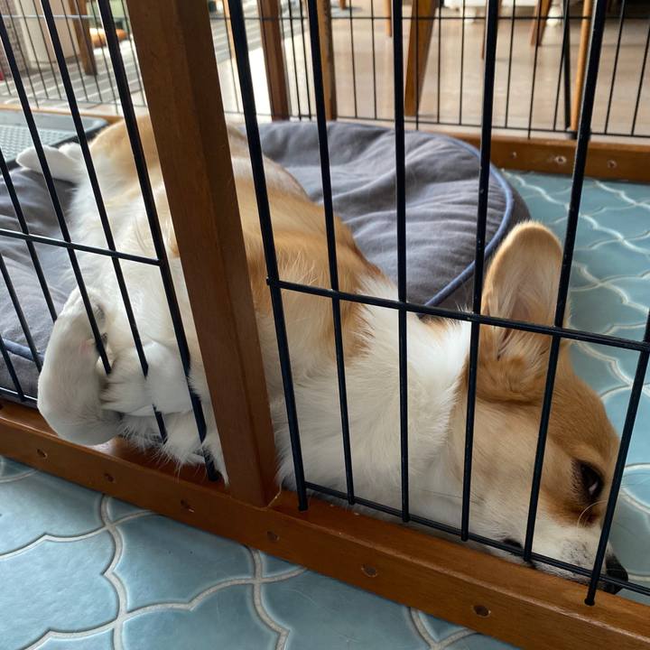 36b08dc0 579a 4699 8da5 9fd4096b7c66 1588219108376