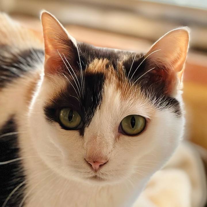 36b113fc 6e67 409a a1cf fadd40782e16 1712971126611