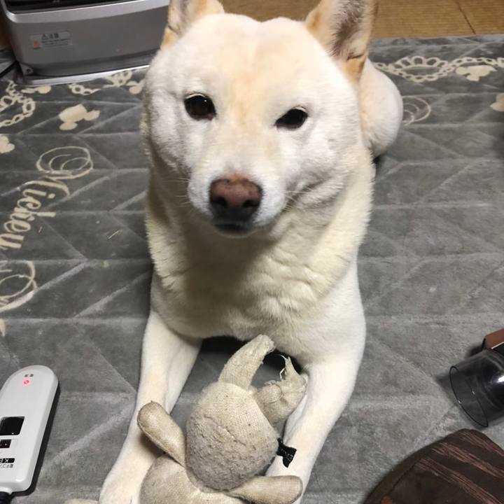 36b12167 9262 4263 9c7d 66043fe74201 1643115919277