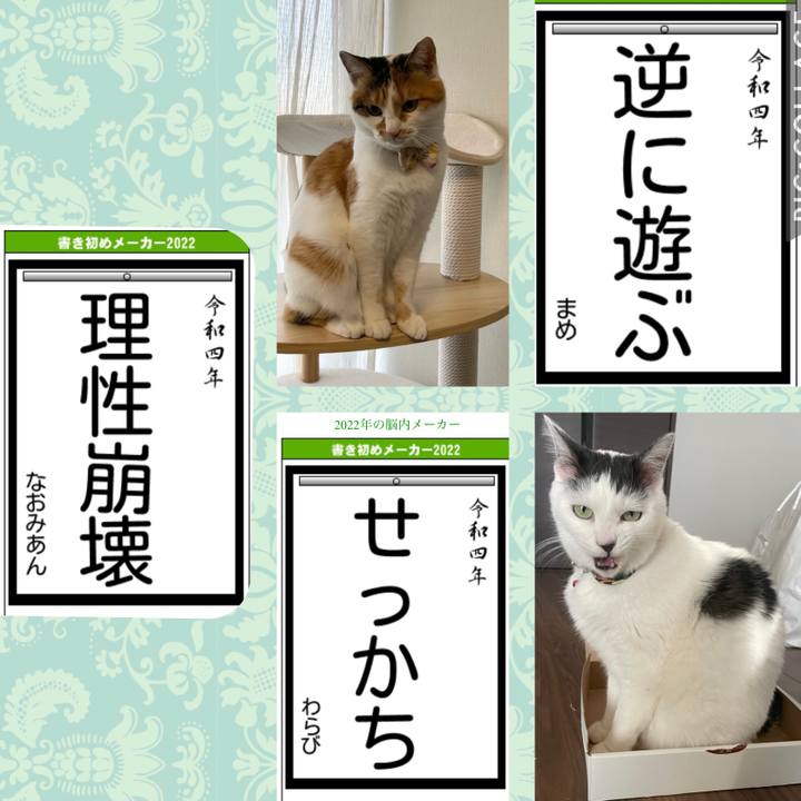 36b128d0 2178 4da3 b42b 102c50fb4b5d 1641186197202