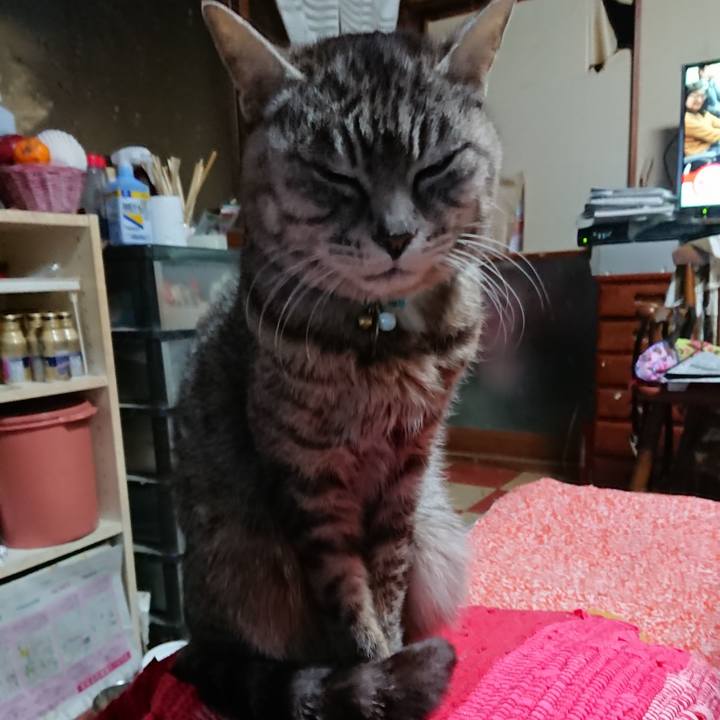 36b16348 d83f 4e21 bfea c77fc432d025 1553374980169