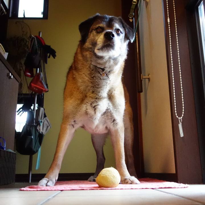 36b18c30 3bfb 45c8 a6c7 b7818f964577 1633220738566