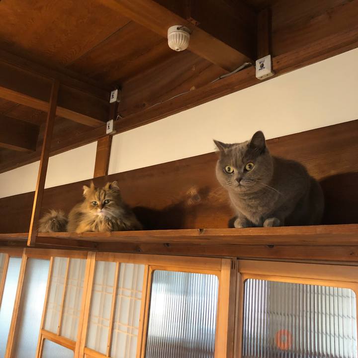 36b18f47 e46e 41b9 9328 4dd9932c72c1 1554765456818