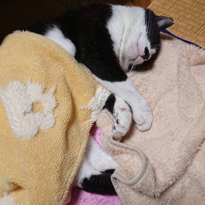 36b241bc a122 4ef7 a508 ec8efb6ea88d 1635430582228