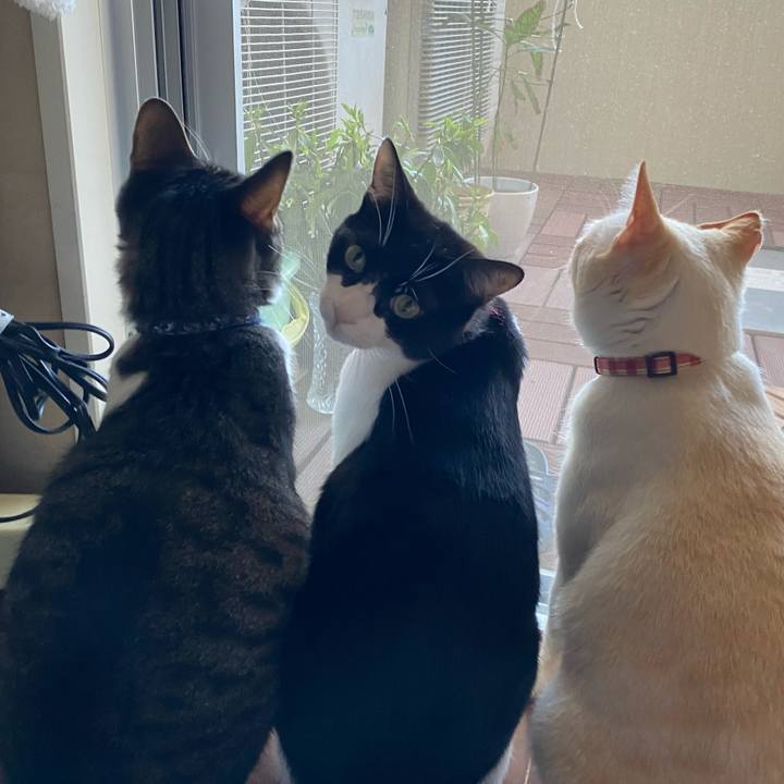 36b24243 7388 4354 9ef8 f6300dd6d551 1716102759998