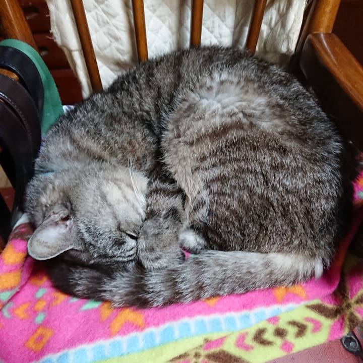 36b27029 c54a 4d87 8e27 dea98e08840d 1571225712650