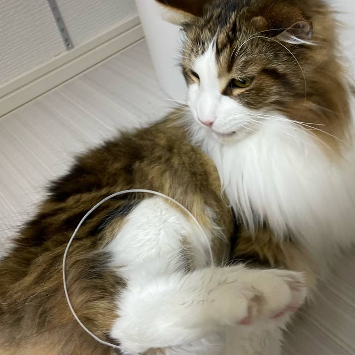 36b28756 b481 436b 8642 9d548e811d05 1673904198242