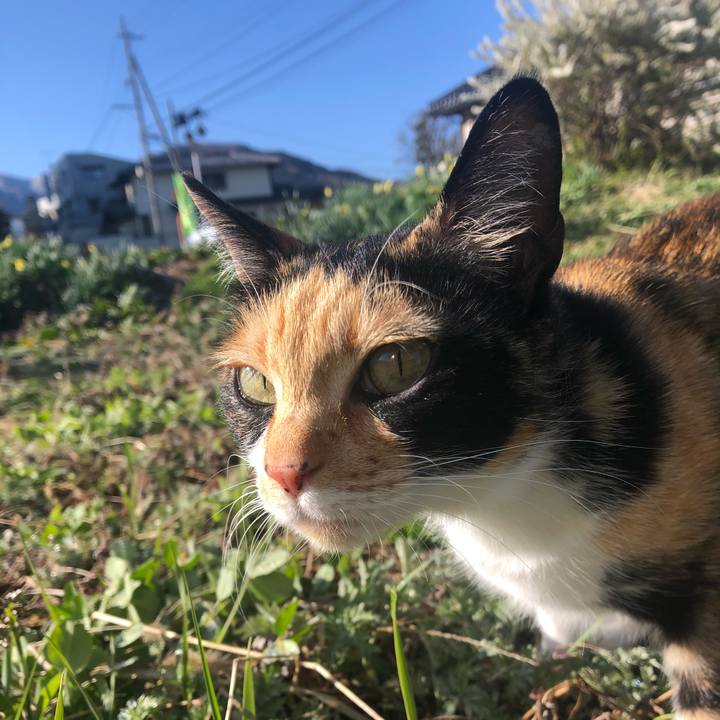 36b2bfef 3812 4dc1 8cf5 f0e6ba356a03 1618452556662