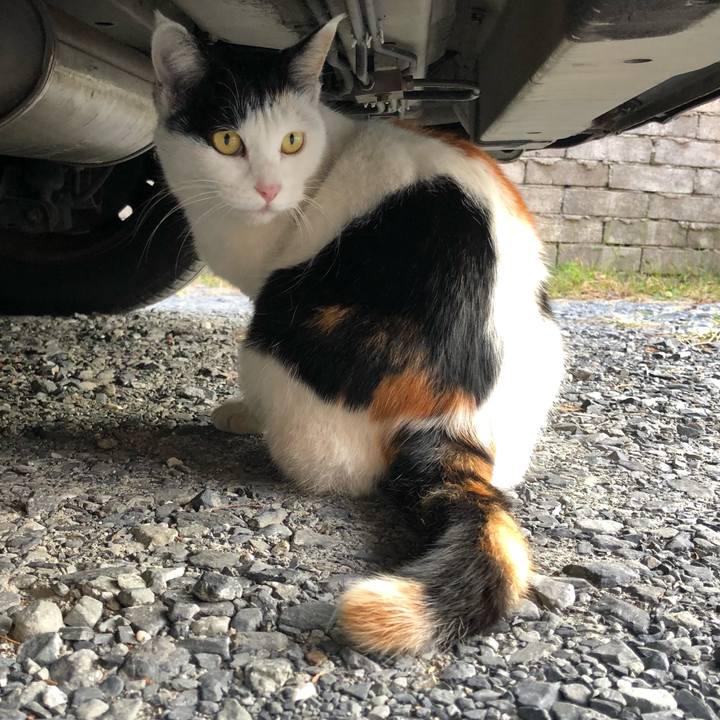 36b2d865 f676 471b 99c2 df85dff15ef0 1604096036201