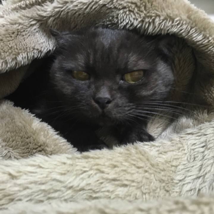 36b2edb1 b5b1 4956 b418 12d7129f2f9b 1573490013605