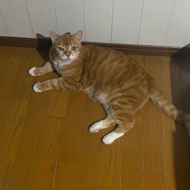 36b2f862 18c8 4887 9559 816299d65c82 1756051509902