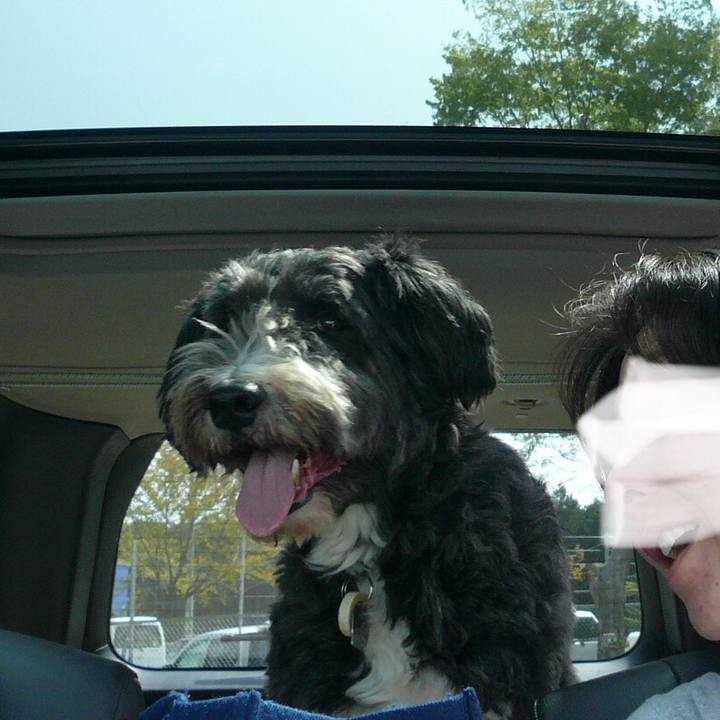 36b30eb2 670b 4d2e 886b 8084e31d45a9 1527756870844