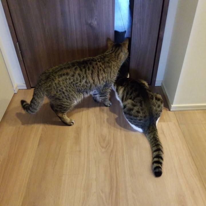 36b31987 8642 4f46 a940 e1272e3cb974 1560890506918