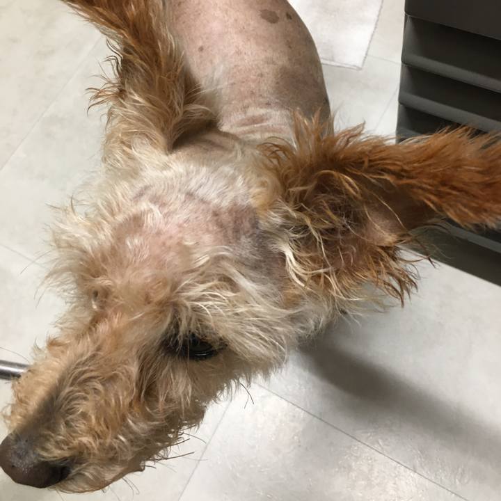 36b31d11 89e1 40c9 a640 483aaf77b23d 1597488872561