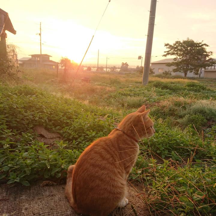 36b332ca d0b6 493a 922b 10e63cc8c31c 1570049890011