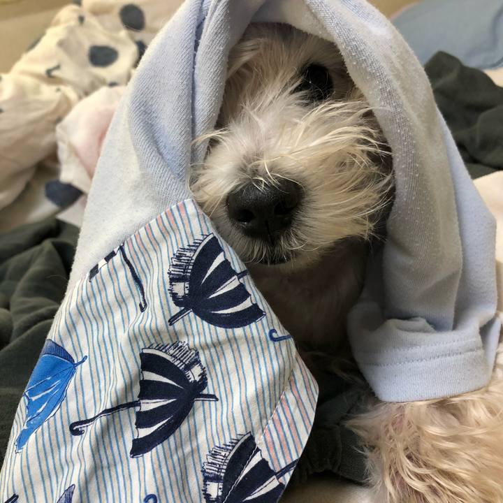 36b368f9 ce3a 4a88 a485 2d6353397ea5 1540265966625