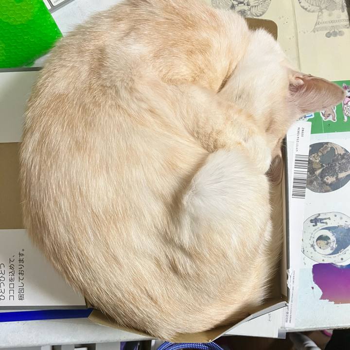 36b369c9 9d0a 4c47 89d6 e080965f273d 1698841265793