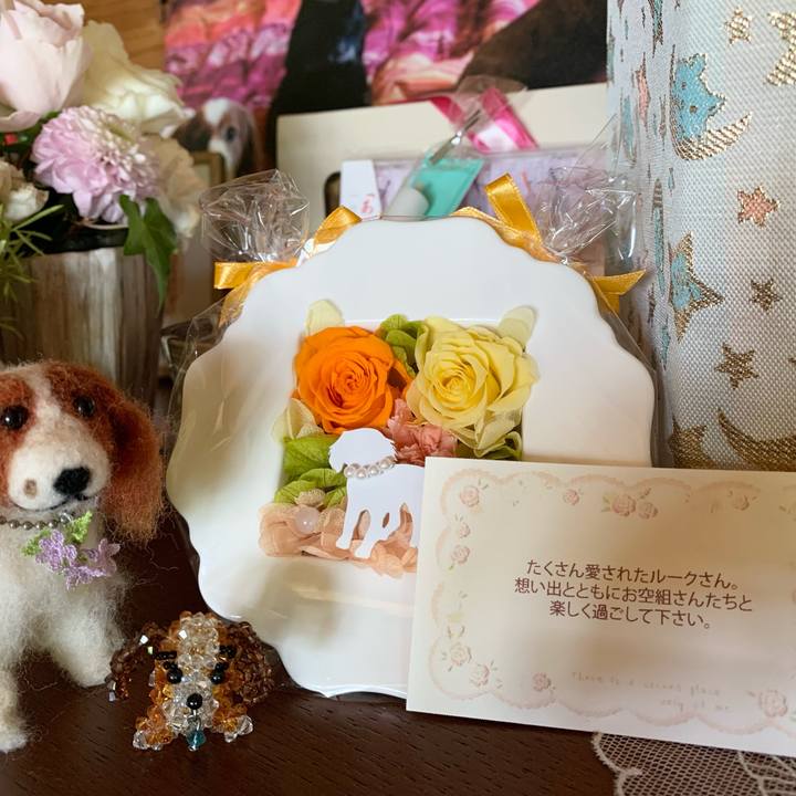 36b38a4d dd6a 4777 b201 7f9830c7c8c6 1624521895288